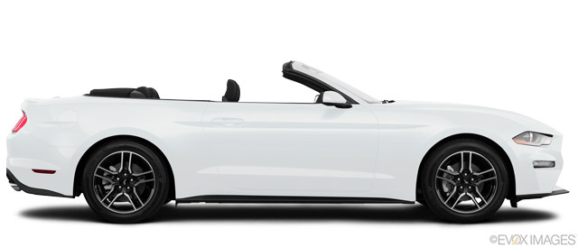 Bild 2019 Ford Mustang #156