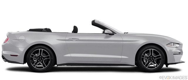 Bild 2019 Ford Mustang #166