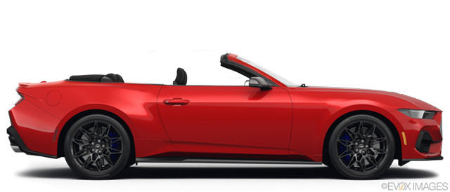 Bild 2025 Ford Mustang #369